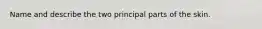 Name and describe the two principal parts of the skin.