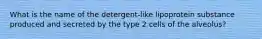 What is the name of the detergent-like lipoprotein substance produced and secreted by the type 2 cells of the alveolus?