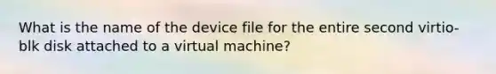 What is the name of the device file for the entire second virtio-blk disk attached to a virtual machine?