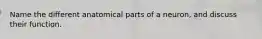 Name the different anatomical parts of a neuron, and discuss their function.