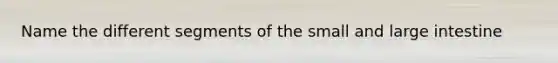 Name the different segments of the small and large intestine