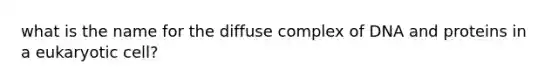 what is the name for the diffuse complex of DNA and proteins in a eukaryotic cell?