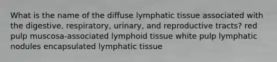 What is the name of the diffuse lymphatic tissue associated with the digestive, respiratory, urinary, and reproductive tracts? red pulp muscosa-associated lymphoid tissue white pulp lymphatic nodules encapsulated lymphatic tissue