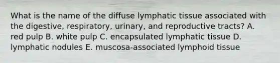 What is the name of the diffuse lymphatic tissue associated with the digestive, respiratory, urinary, and reproductive tracts? A. red pulp B. white pulp C. encapsulated lymphatic tissue D. lymphatic nodules E. muscosa-associated lymphoid tissue