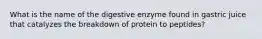 What is the name of the digestive enzyme found in gastric juice that catalyzes the breakdown of protein to peptides?