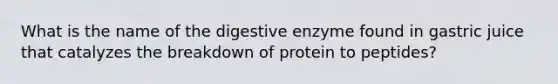 What is the name of the digestive enzyme found in gastric juice that catalyzes the breakdown of protein to peptides?