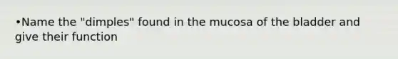 •Name the "dimples" found in the mucosa of the bladder and give their function