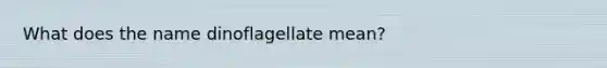 What does the name dinoflagellate mean?