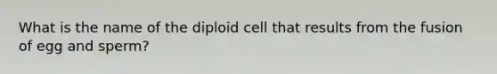 What is the name of the diploid cell that results from the fusion of egg and sperm?