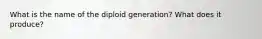 What is the name of the diploid generation? What does it produce?