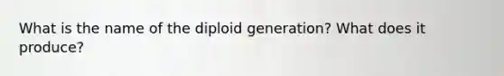 What is the name of the diploid generation? What does it produce?