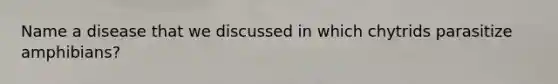 Name a disease that we discussed in which chytrids parasitize amphibians?