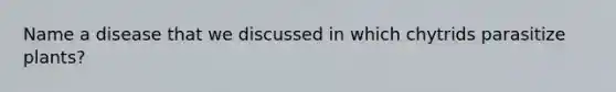 Name a disease that we discussed in which chytrids parasitize plants?