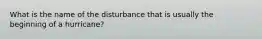 What is the name of the disturbance that is usually the beginning of a hurricane?