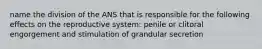 name the division of the ANS that is responsible for the following effects on the reproductive system: penile or clitoral engorgement and stimulation of grandular secretion