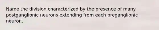 Name the division characterized by the presence of many postganglionic neurons extending from each preganglionic neuron.