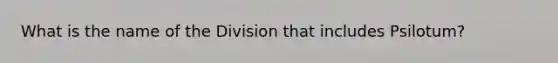 What is the name of the Division that includes Psilotum?