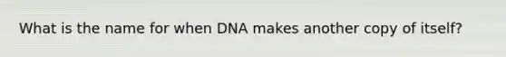 What is the name for when DNA makes another copy of itself?