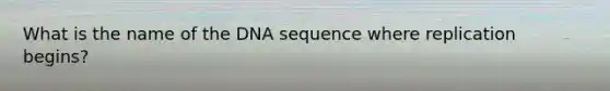 What is the name of the DNA sequence where replication begins?