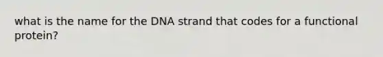 what is the name for the DNA strand that codes for a functional protein?