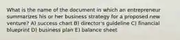 What is the name of the document in which an entrepreneur summarizes his or her business strategy for a proposed new venture? A) success chart B) director's guideline C) financial blueprint D) business plan E) balance sheet