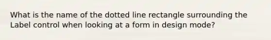 What is the name of the dotted line rectangle surrounding the Label control when looking at a form in design mode?