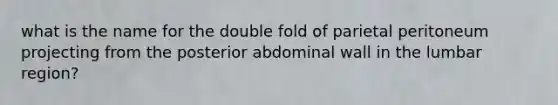 what is the name for the double fold of parietal peritoneum projecting from the posterior abdominal wall in the lumbar region?