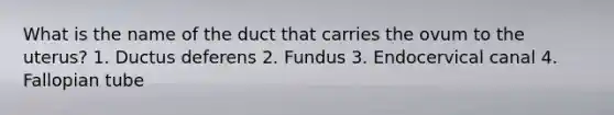 What is the name of the duct that carries the ovum to the uterus? 1. Ductus deferens 2. Fundus 3. Endocervical canal 4. Fallopian tube