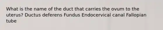 What is the name of the duct that carries the ovum to the uterus? Ductus deferens Fundus Endocervical canal Fallopian tube