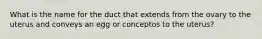 What is the name for the duct that extends from the ovary to the uterus and conveys an egg or conceptos to the uterus?