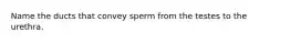 Name the ducts that convey sperm from the testes to the urethra.