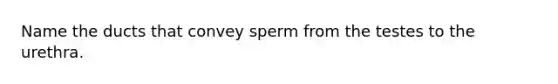 Name the ducts that convey sperm from the testes to the urethra.