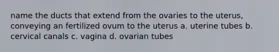 name the ducts that extend from the ovaries to the uterus, conveying an fertilized ovum to the uterus a. uterine tubes b. cervical canals c. vagina d. ovarian tubes