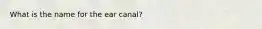 What is the name for the ear canal?