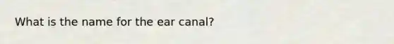 What is the name for the ear canal?