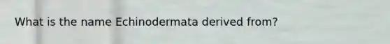 What is the name Echinodermata derived from?