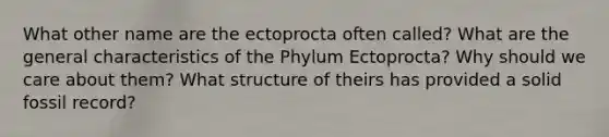 What other name are the ectoprocta often called? What are the general characteristics of the Phylum Ectoprocta? Why should we care about them? What structure of theirs has provided a solid fossil record?