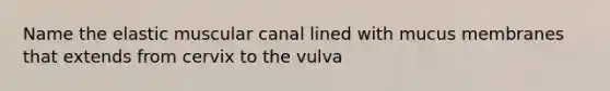 Name the elastic muscular canal lined with mucus membranes that extends from cervix to the vulva