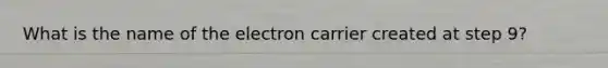 What is the name of the electron carrier created at step 9?