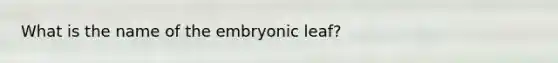 What is the name of the embryonic leaf?