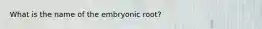 What is the name of the embryonic root?