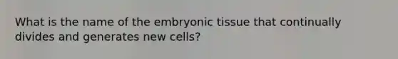 What is the name of the embryonic tissue that continually divides and generates new cells?