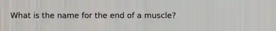 What is the name for the end of a muscle?