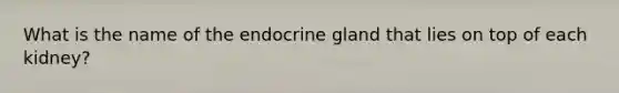 What is the name of the endocrine gland that lies on top of each kidney?