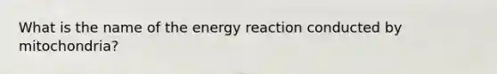 What is the name of the energy reaction conducted by mitochondria?