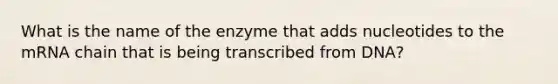 What is the name of the enzyme that adds nucleotides to the mRNA chain that is being transcribed from DNA?