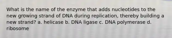 What is the name of the enzyme that adds nucleotides to the new growing strand of DNA during replication, thereby building a new strand? a. helicase b. DNA ligase c. DNA polymerase d. ribosome