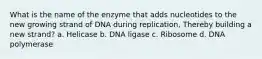 What is the name of the enzyme that adds nucleotides to the new growing strand of DNA during replication, Thereby building a new strand? a. Helicase b. DNA ligase c. Ribosome d. DNA polymerase