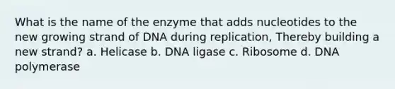 What is the name of the enzyme that adds nucleotides to the new growing strand of DNA during replication, Thereby building a new strand? a. Helicase b. DNA ligase c. Ribosome d. DNA polymerase