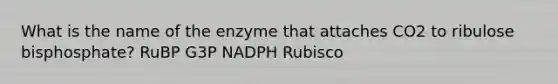 What is the name of the enzyme that attaches CO2 to ribulose bisphosphate? RuBP G3P NADPH Rubisco